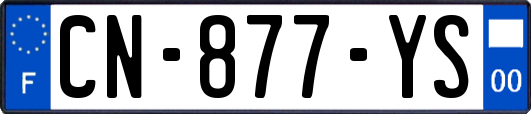 CN-877-YS