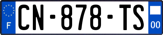 CN-878-TS