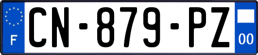 CN-879-PZ