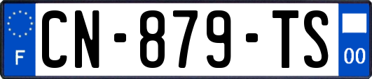 CN-879-TS