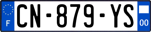 CN-879-YS
