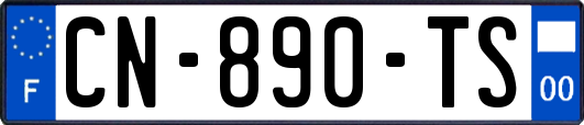 CN-890-TS