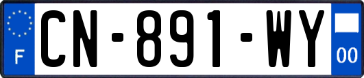 CN-891-WY