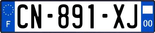 CN-891-XJ