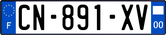 CN-891-XV