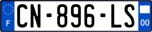 CN-896-LS