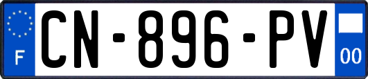 CN-896-PV