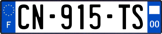 CN-915-TS