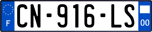 CN-916-LS