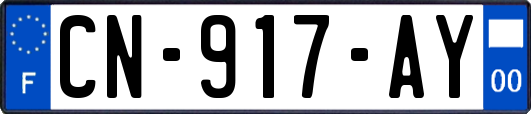 CN-917-AY