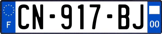 CN-917-BJ