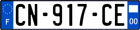 CN-917-CE