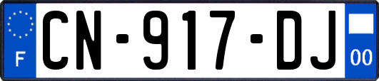 CN-917-DJ