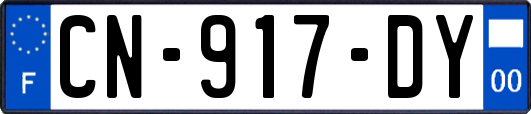 CN-917-DY