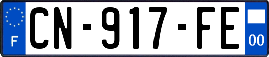 CN-917-FE