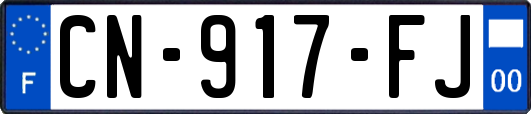 CN-917-FJ
