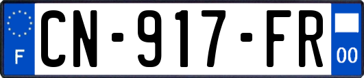 CN-917-FR