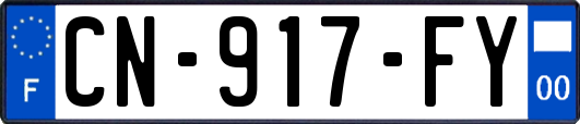 CN-917-FY