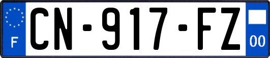 CN-917-FZ