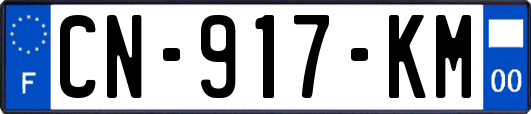 CN-917-KM