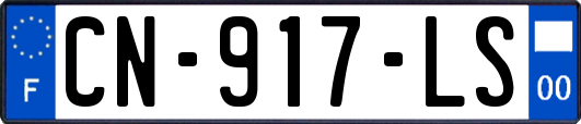 CN-917-LS