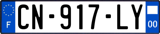 CN-917-LY