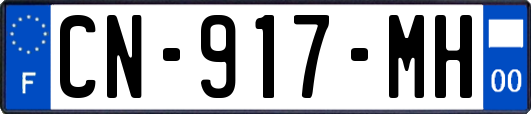 CN-917-MH