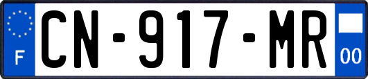 CN-917-MR