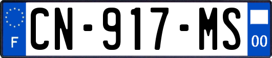 CN-917-MS