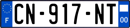 CN-917-NT