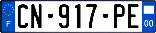 CN-917-PE