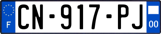 CN-917-PJ