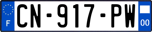 CN-917-PW