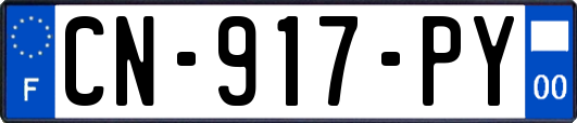 CN-917-PY
