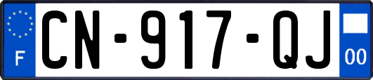 CN-917-QJ