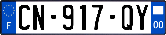 CN-917-QY