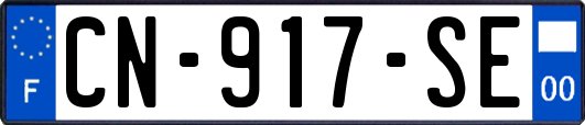 CN-917-SE