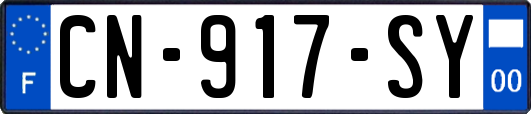 CN-917-SY