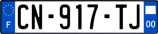 CN-917-TJ