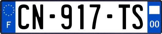 CN-917-TS