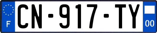 CN-917-TY