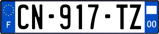 CN-917-TZ