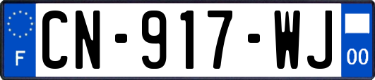 CN-917-WJ