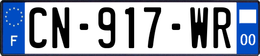 CN-917-WR
