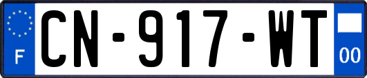 CN-917-WT
