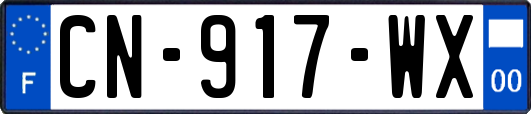 CN-917-WX