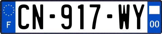 CN-917-WY