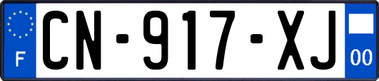 CN-917-XJ