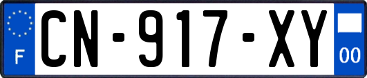 CN-917-XY