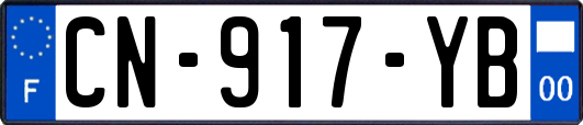 CN-917-YB